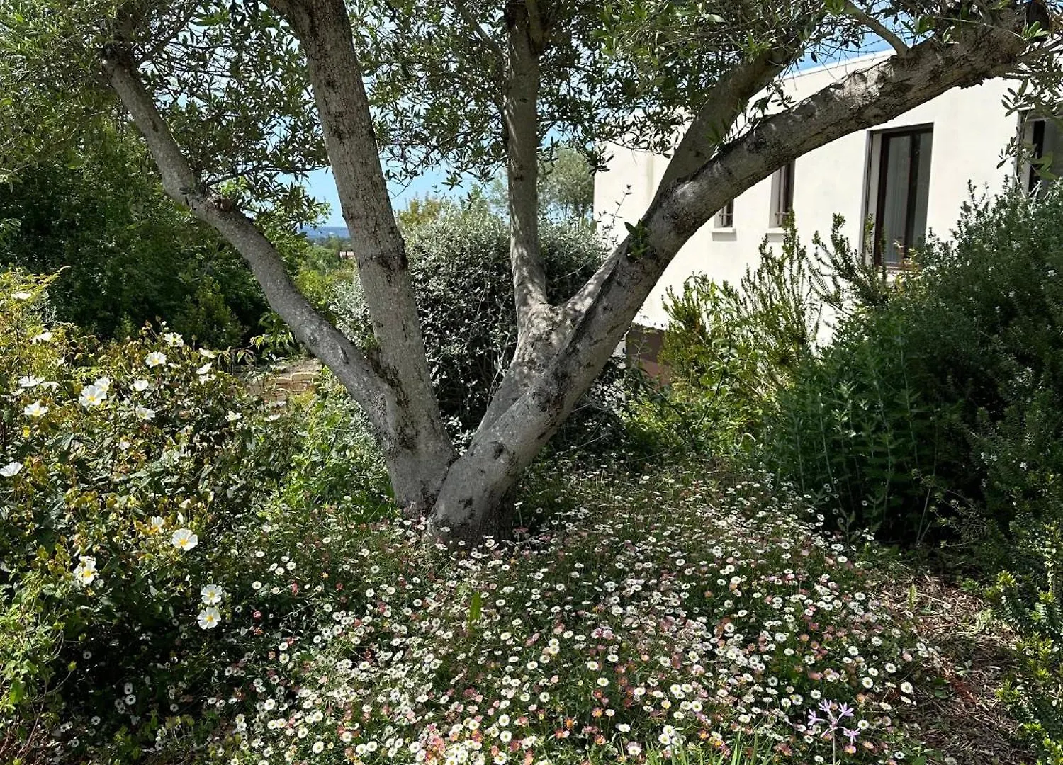 Apartamento Studio Verveine Aix-en-Provence